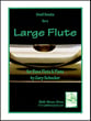 SMALL SONATA FOR A LARGE FLUTE BASS FLUTE AND PIANO cover